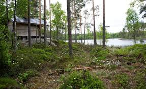 Pielppa Lodge, Orivesi - Uudet hinnat 2025